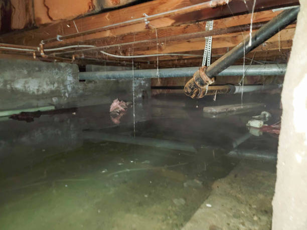 Best Local water damage restoration  in Hood River, OR