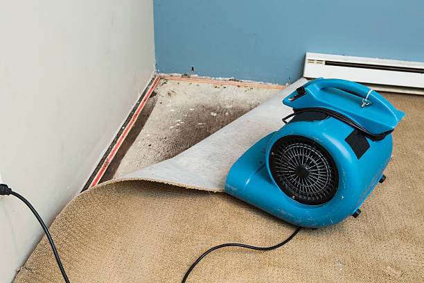 Best Sewage cleanup and water damage restoration  in Hood River, OR